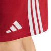 Picture of Liverpool FC DNA Shorts