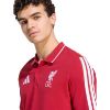 Picture of Liverpool FC DNA Polo Shirt