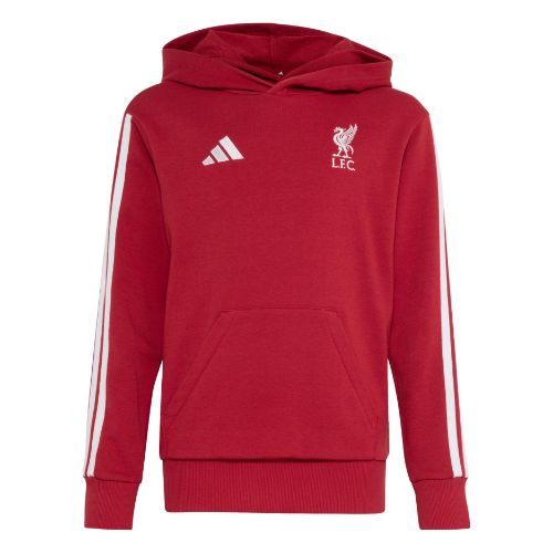 Picture of Liverpool FC Kids Hoodie