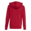 Picture of Liverpool FC Kids Hoodie