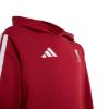 Picture of Liverpool FC Kids Hoodie