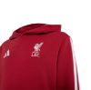 Picture of Liverpool FC Kids Hoodie