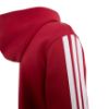 Picture of Liverpool FC Kids Hoodie