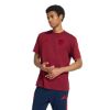 Picture of Arsenal FC DNA T-Shirt