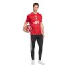 Picture of Liverpool FC 26/27 Pre Match Jersey