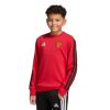 Picture of Manchester United Kids Crew Sweat
