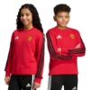 Picture of Manchester United Kids Crew Sweat