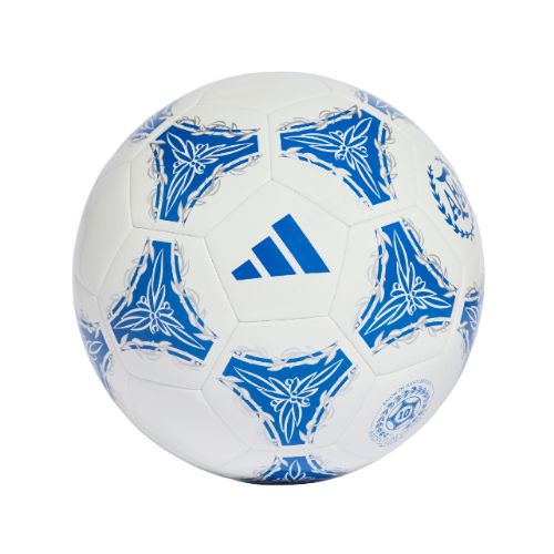 Picture of Argentina AFA Argentum Gambeta Club Ball