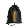 Picture of Juventus Gymsack