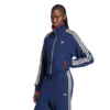 Picture of Firebird Tracktop