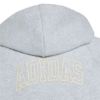 Picture of Seasonals Collegiate Typography Full Zip Hoody Junior