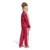 Picture of FIREBIRD Tracksuit