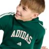Picture of Codes Collegiate Graphic Hoodie