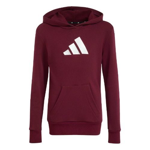 Picture of Graphic Hoodie Kids