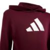Picture of Graphic Hoodie Kids