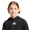 Picture of Essentials Hoodie Kids