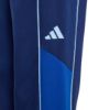 Picture of Color Block Joggers