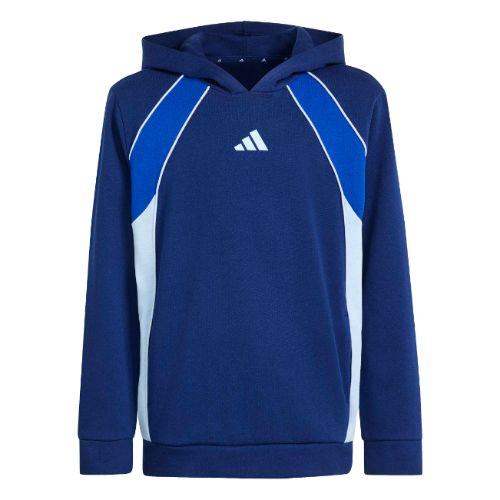 Picture of Color Block Hoodie