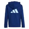 Picture of Color Block Hoodie