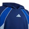 Picture of Color Block Hoodie
