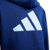 Picture of Color Block Hoodie