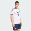 Picture of Fc Bayern 26/27 Away Jersey