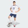 Picture of Fc Bayern 26/27 Away Jersey
