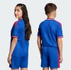 Picture of Manchester United 26/27 Away Jersey Kids