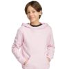 Picture of Essentials Hoodie Kids