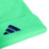 Picture of Little Kids Neon Beanie