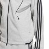 Picture of Spacer Teamgeist 26 Cutline Fullzip Hoodie