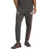 Picture of Audi Revolut F1 Team Dna Pants