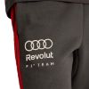 Picture of Audi Revolut F1 Team Dna Pants