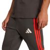 Picture of Audi Revolut F1 Team Dna Pants