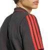 Picture of Audi Revolut F1 Team Dna Polo