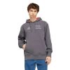 Picture of Audi Revolut F1 Team Driver Hoodie