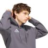 Picture of Audi Revolut F1 Team Driver Hoodie