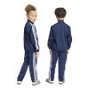 Picture of Firebird Tracksuit