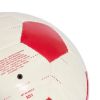 Picture of Liverpool FC Away Club Ball