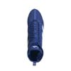 Picture of Box Hog 4 Boxing Shoes