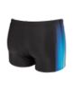 Picture of Light Swim Shorts