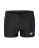 Picture of Light Swim Shorts
