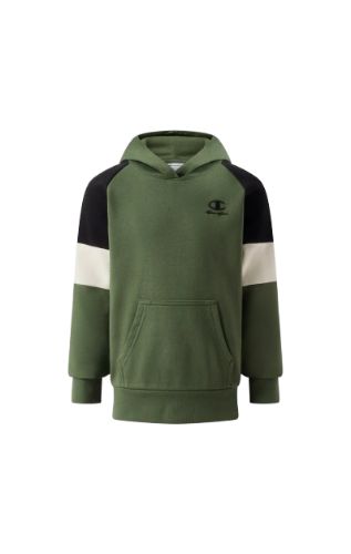 Picture of Boys Hooded Sweatshirt