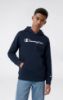 Picture of Boys Fleece Hoodie Sweatshirt Script Logo