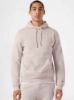 Picture of Hoodie Sweatshirt