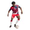 Picture of FC Bayern 26/27 Pre Match Jersey
