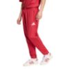 Picture of Liverpool FC Stadium Pants