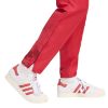Picture of Liverpool FC Stadium Pants