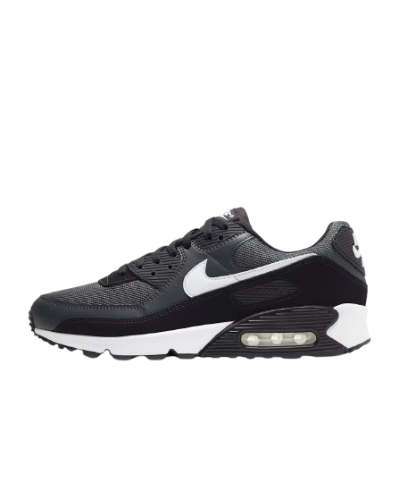 Picture of Air Max 90 Shoes