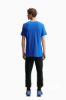 Picture of Inter Milan Fanswear 2026-2027 T-Shirt